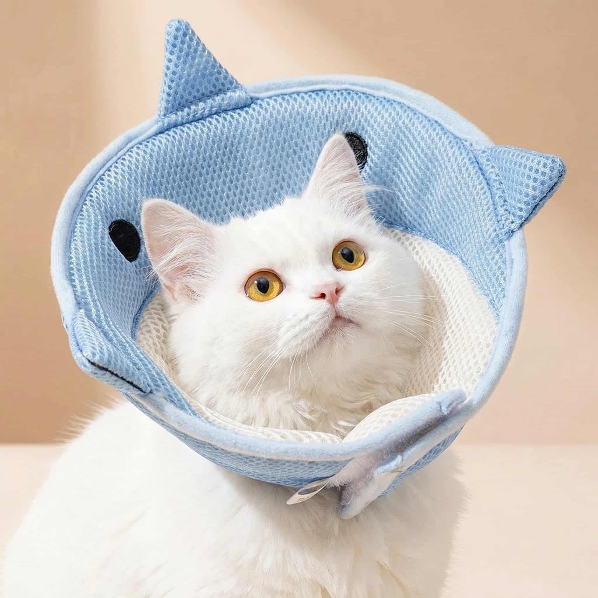 blue shark shaped soft recovery collar for cats post surgery