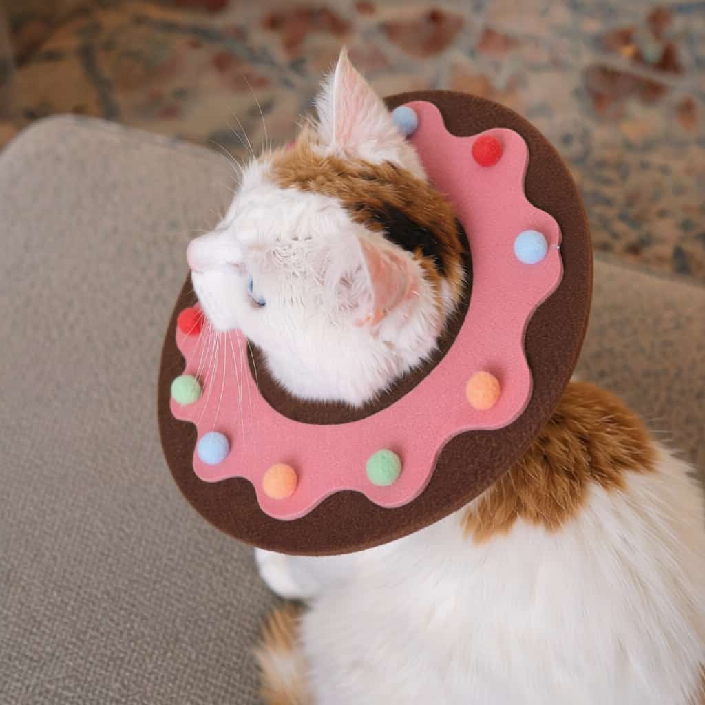 Pink donut-shaped felt Elizabethan collar for pets