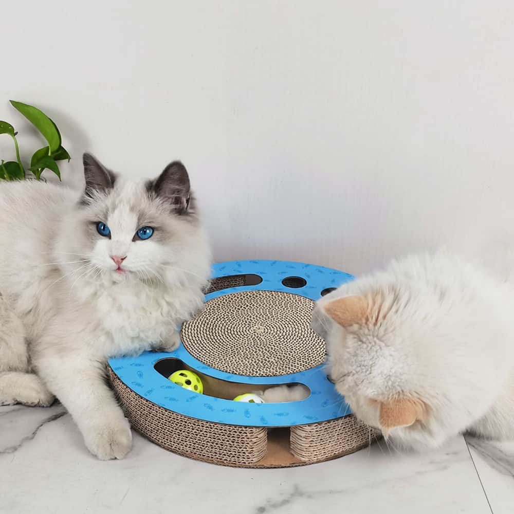 Round cat scratcher with ball track and cardboard pad
