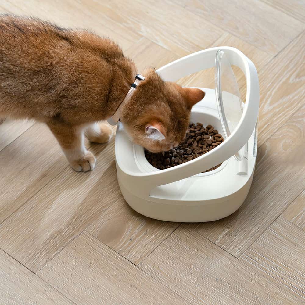 White RFID automatic cat feeder with smartphone app