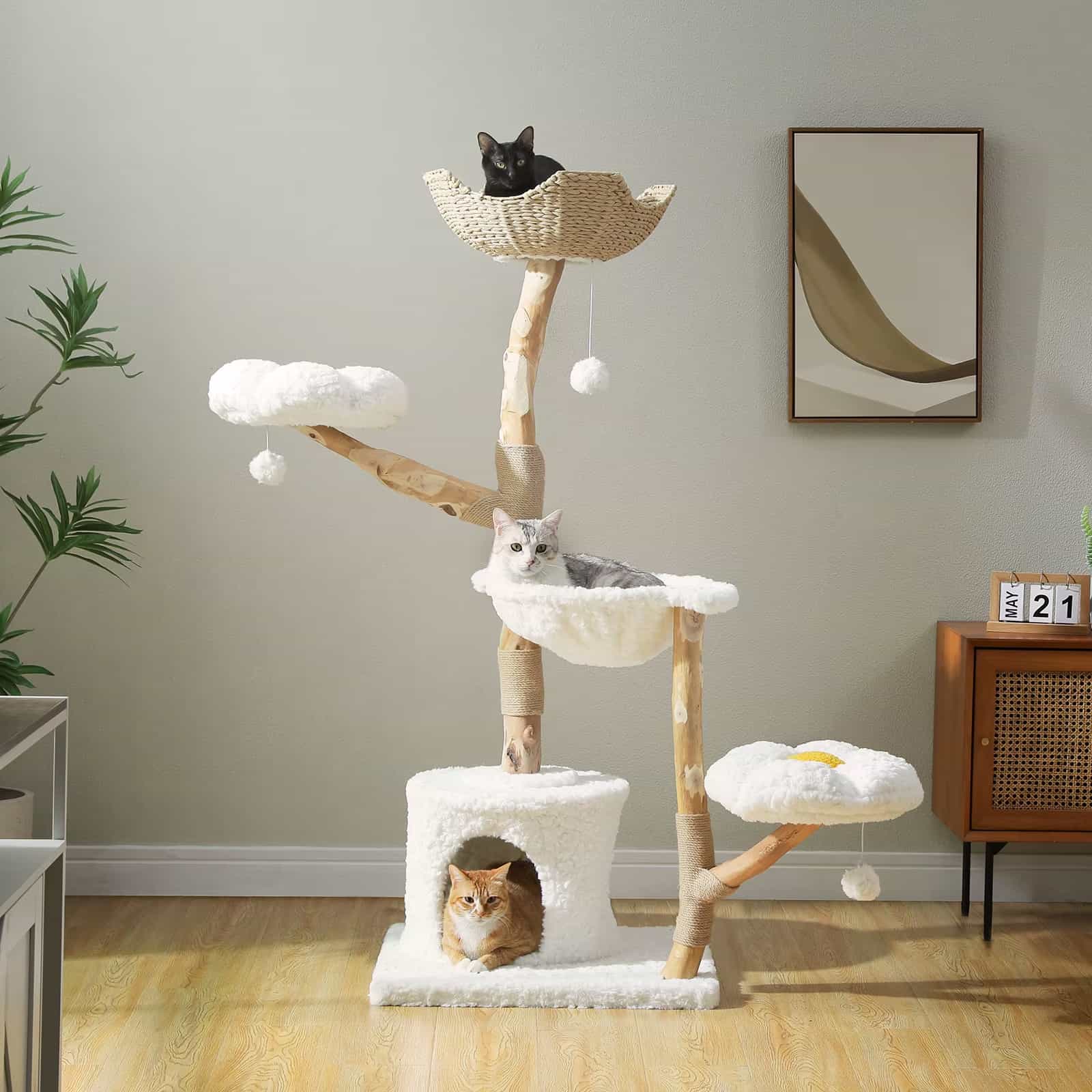 modern pet accessories lifestyle