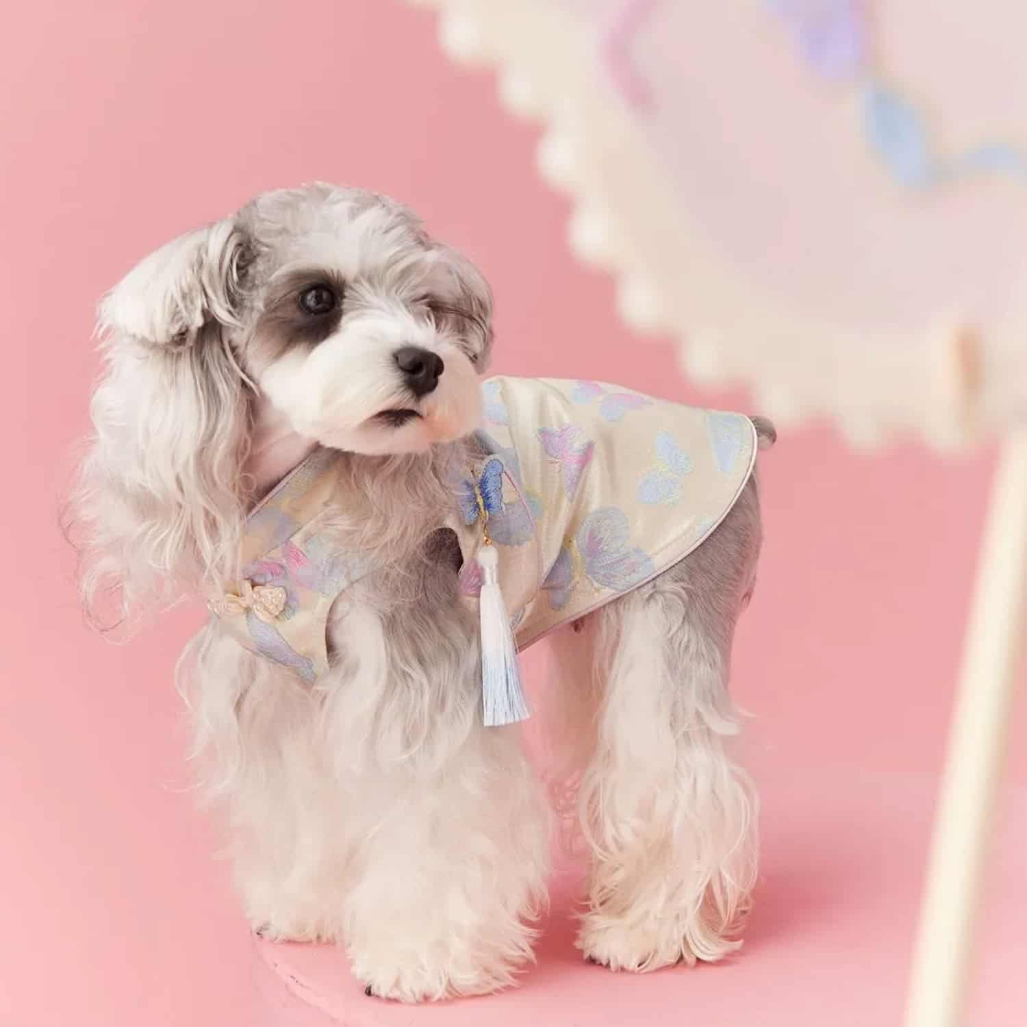Cheongsam vest with butterfly embroidery for small dogs