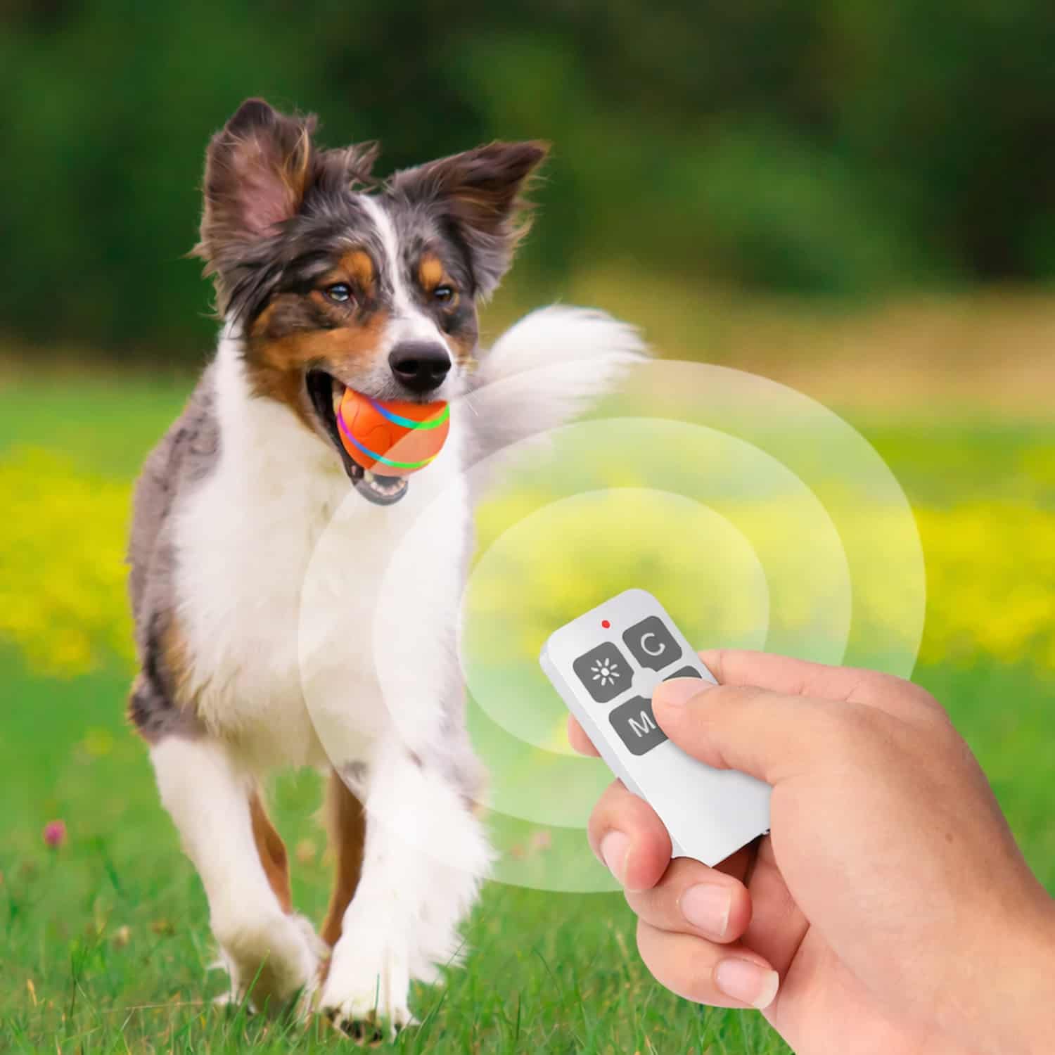 Self-rotating cat ball with auto direction change and LED lights
