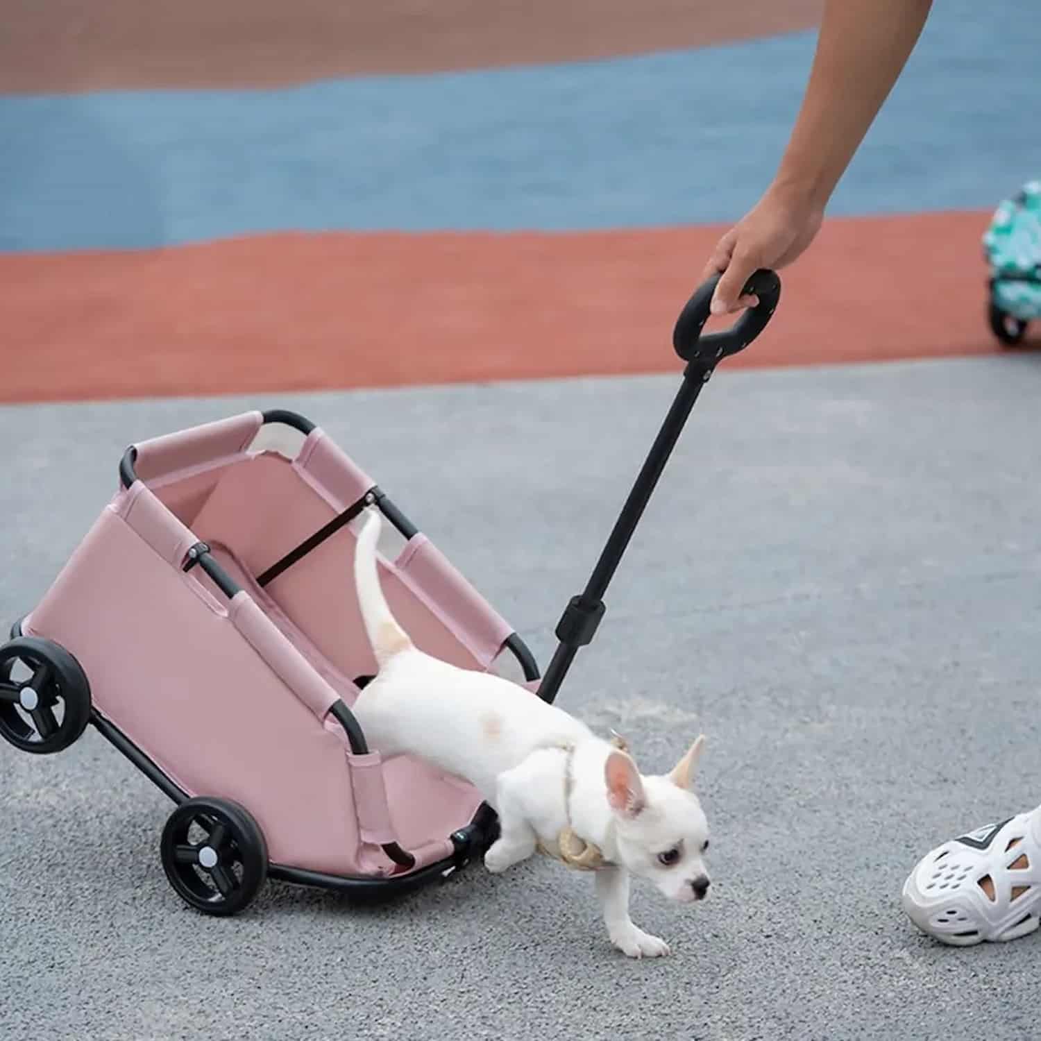 Collapsible pet stroller cart with small dog