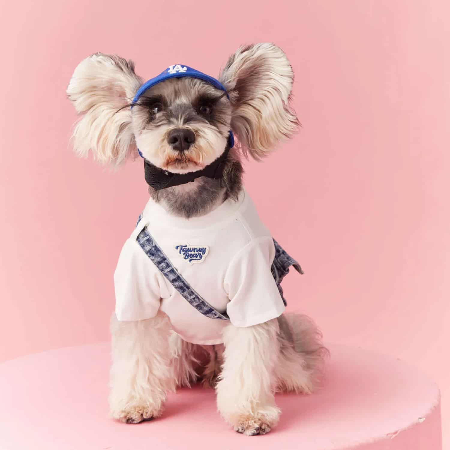 Cotton dog tee with detachable denim backpack and surf bear print