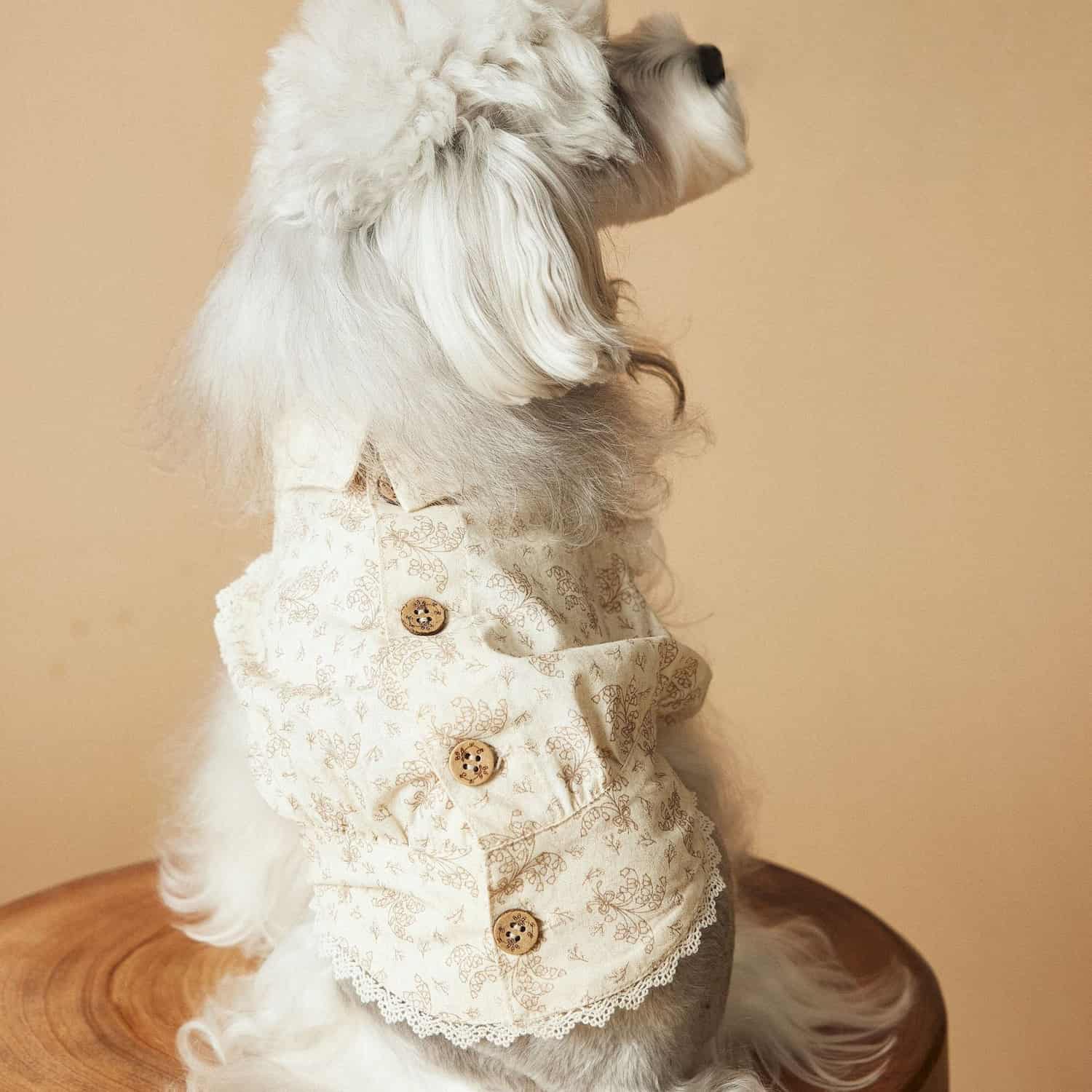 Beige dress with brown floral print and lace trim