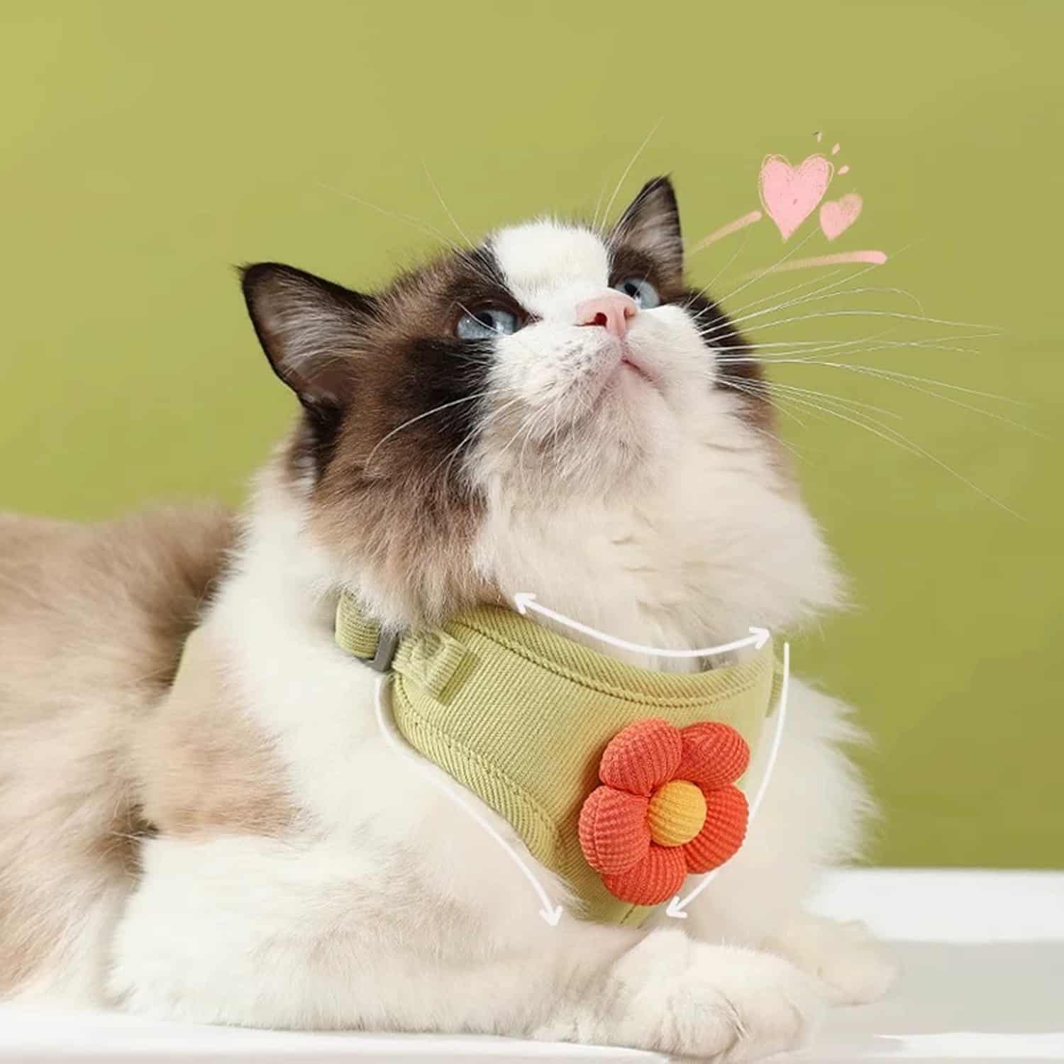 Escape-proof cat harness with breathable mesh and double lock buckles