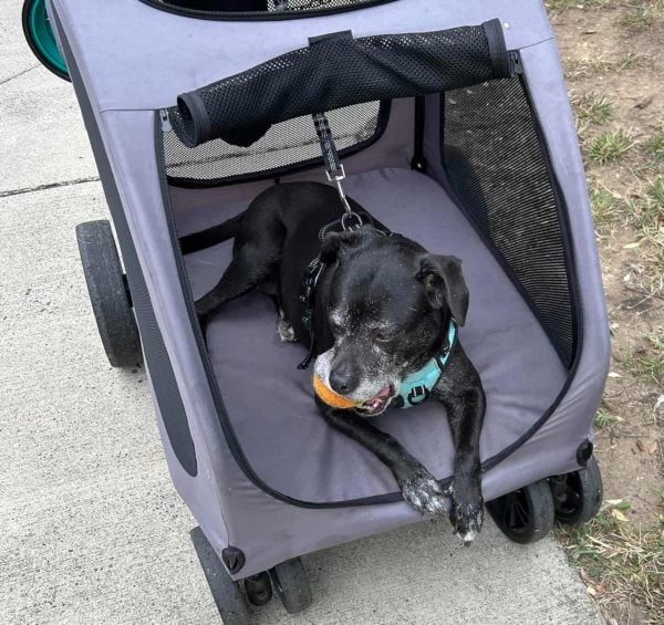 Review image for 3775