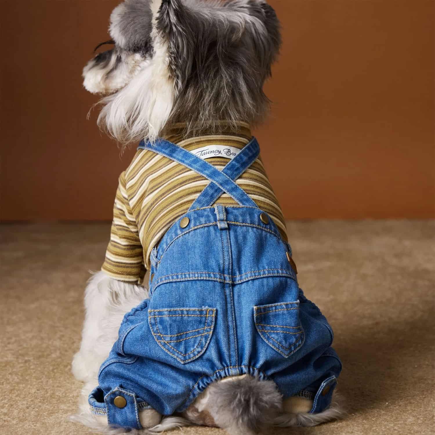 Denim overalls with fleece lining and striped shirt for dogs