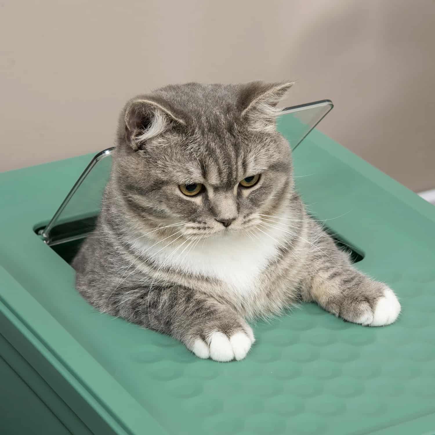 Green and white enclosed litter box with front and top doors