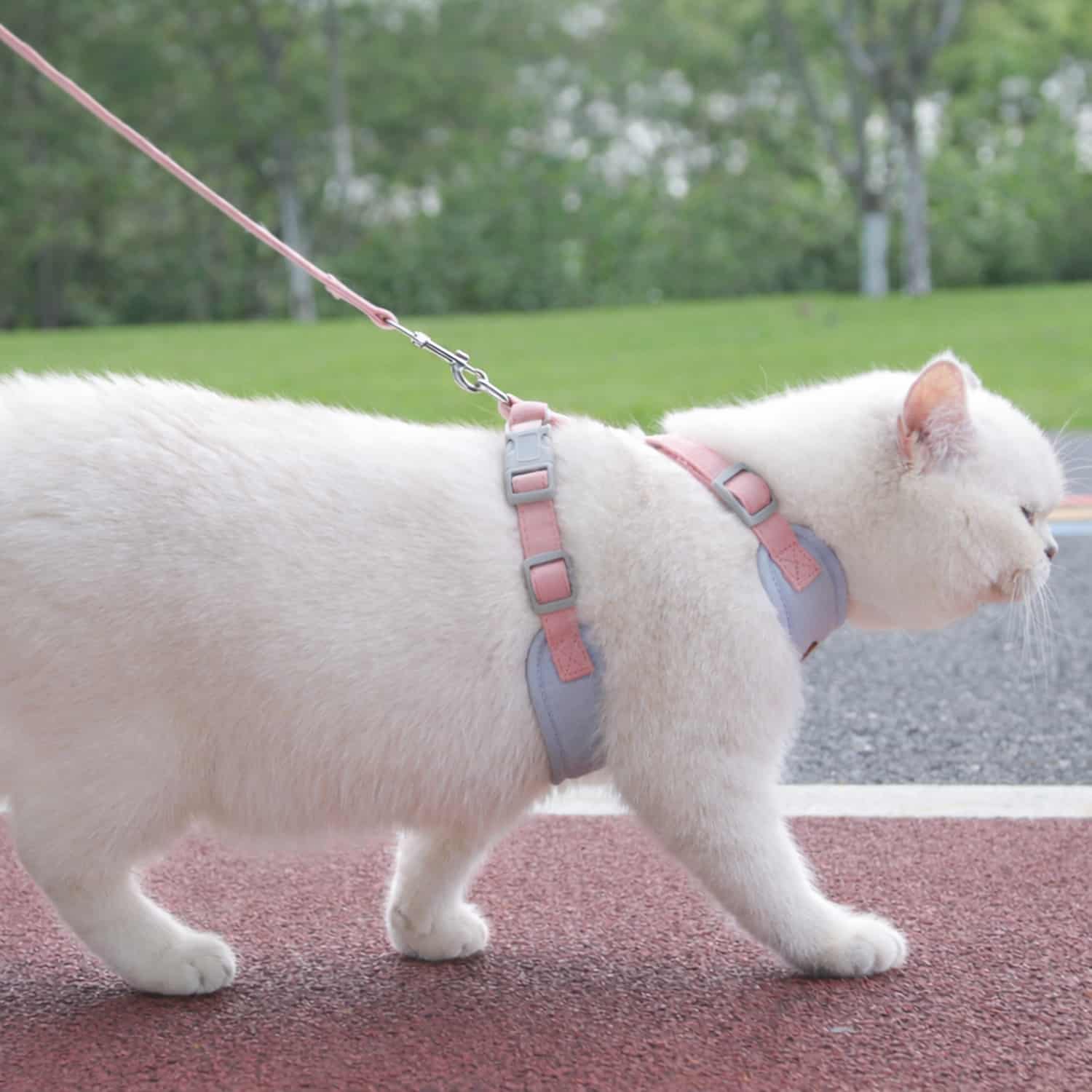 Escape-proof cat harness with H-shape design and contoured fit