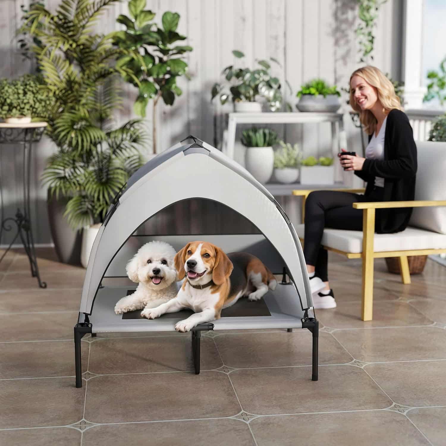 Elevated dog bed with removable canopy and breathable mesh surface