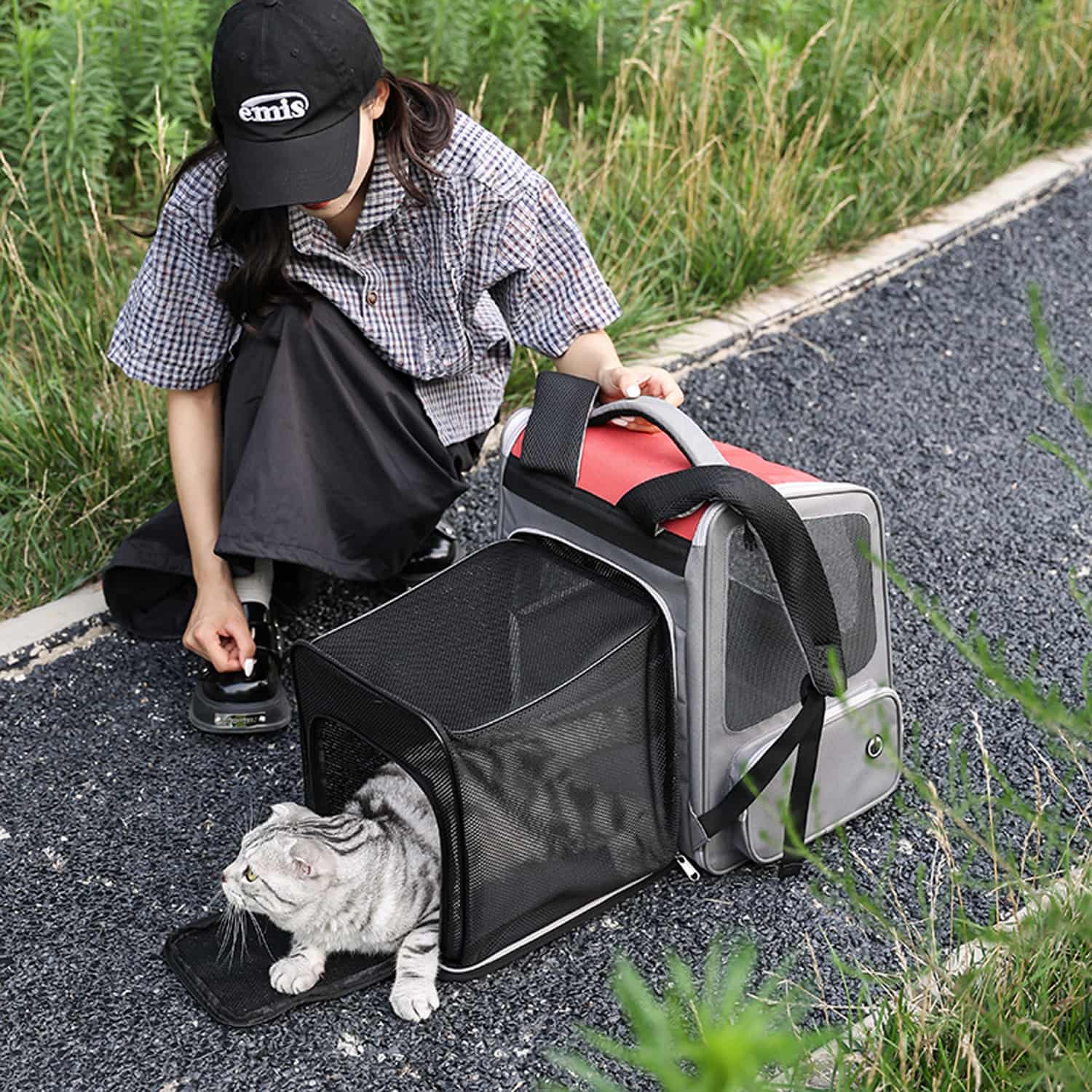 Expandable pet backpack carrier with mesh windows for cats and small dogs