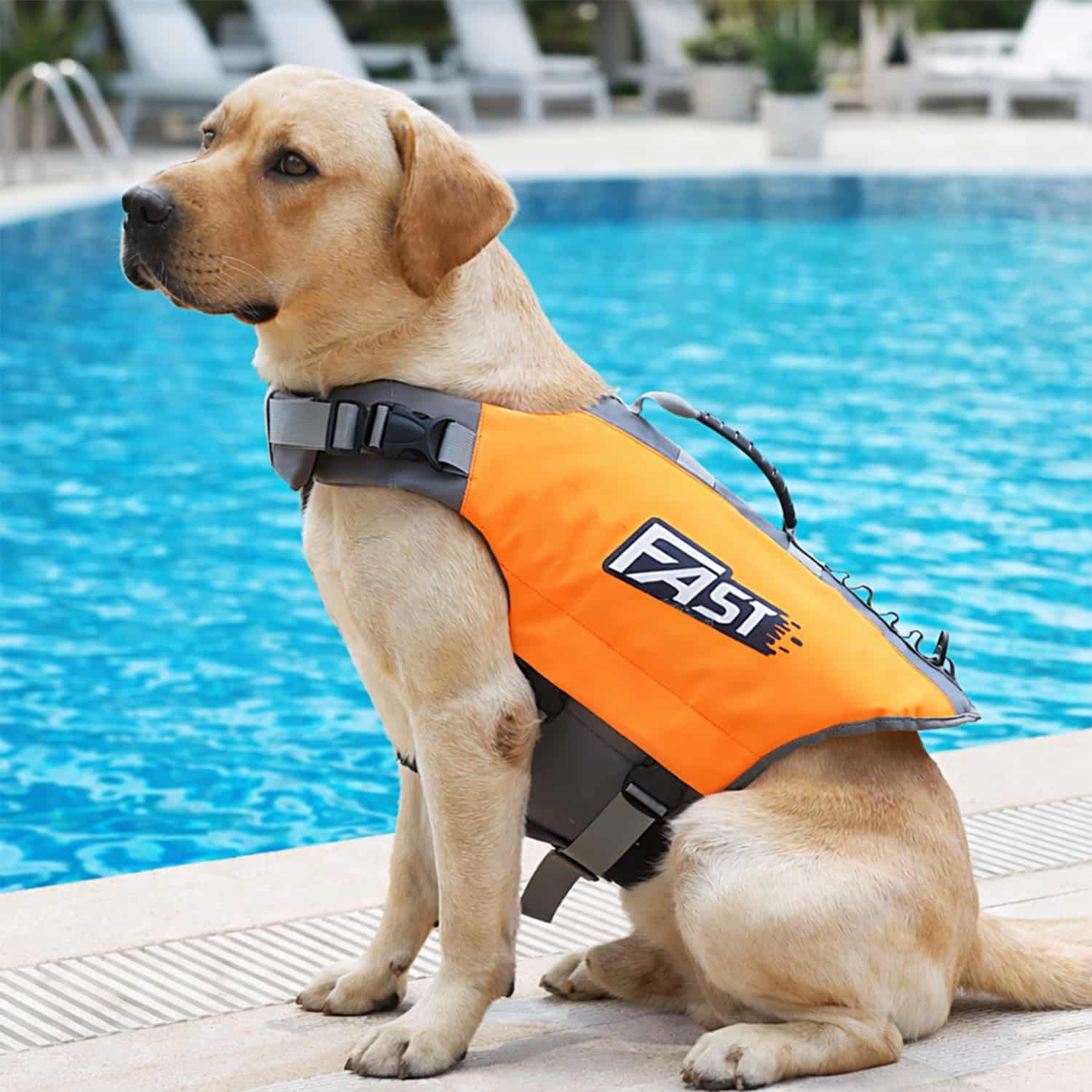 Dog life jacket with top grab handle and reflective printed panels, worn by Labrador, shown in orange colorway