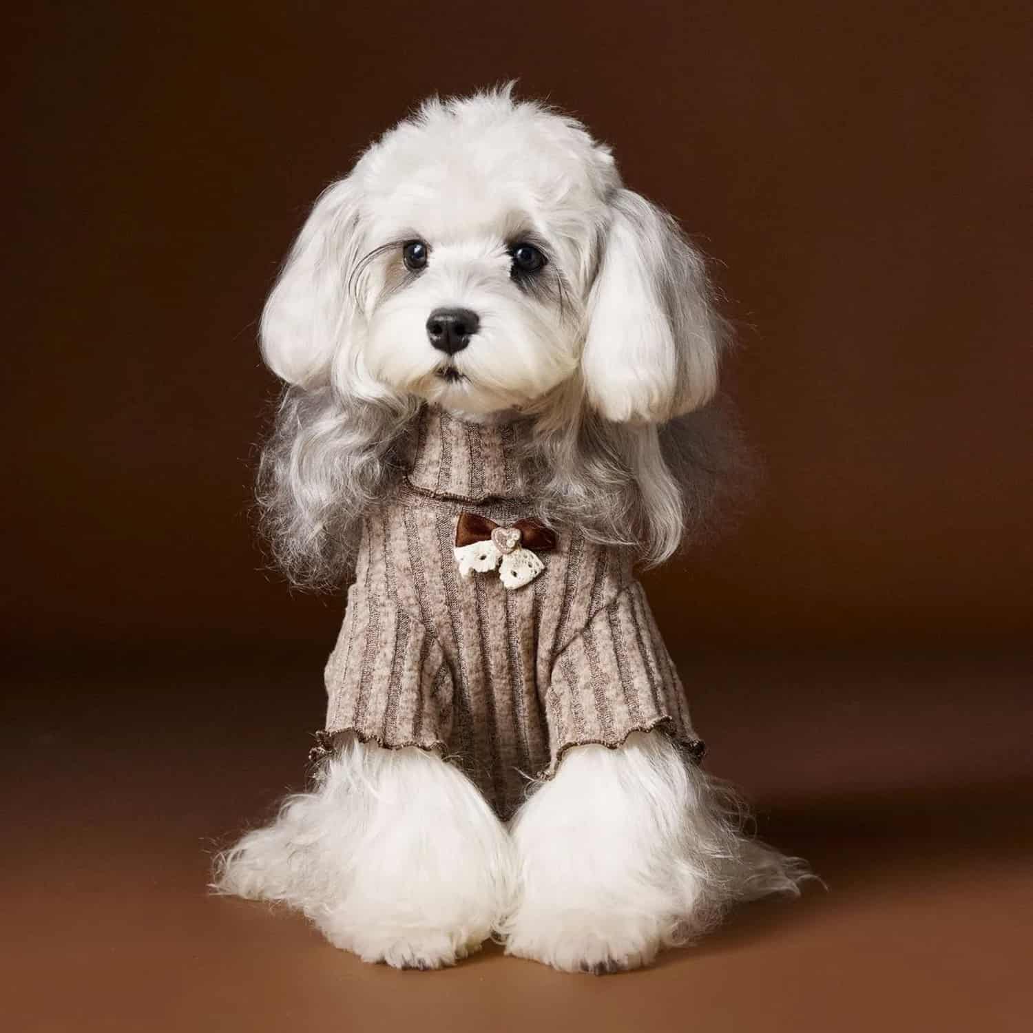 Lace bow knit shirt for small dogs