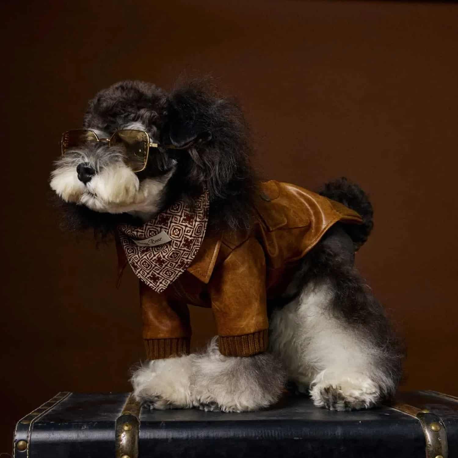 Faux leather four-leg jacket for small dogs in brown