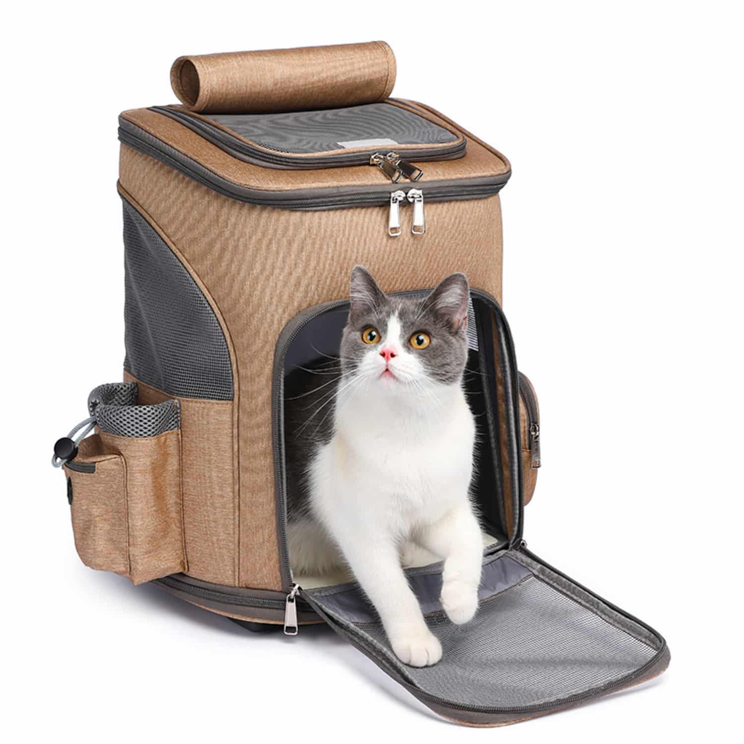 Rolling pet backpack with detachable wheels, telescopic handle extended, front mesh door open with cat inside