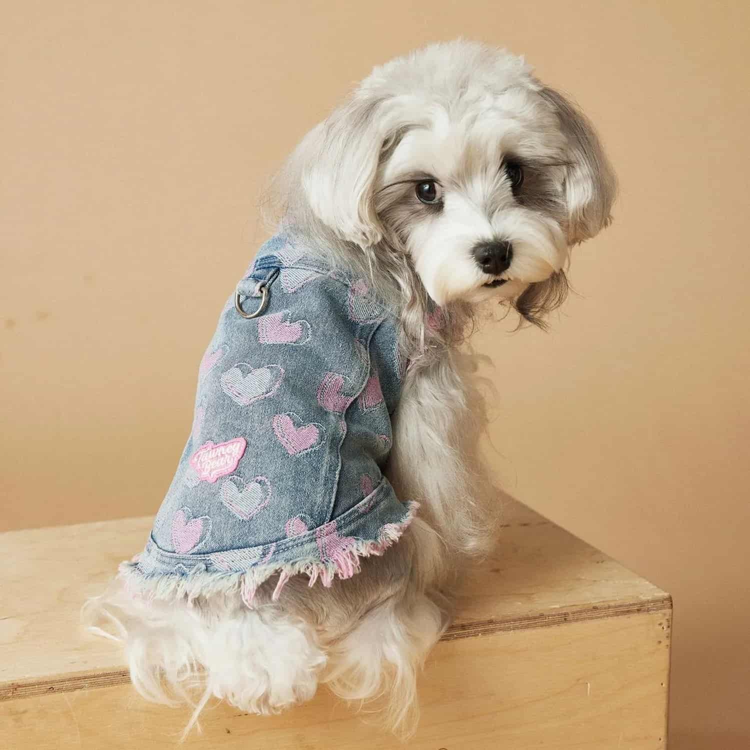 Distressed denim vest with heart embroidery for small dogs