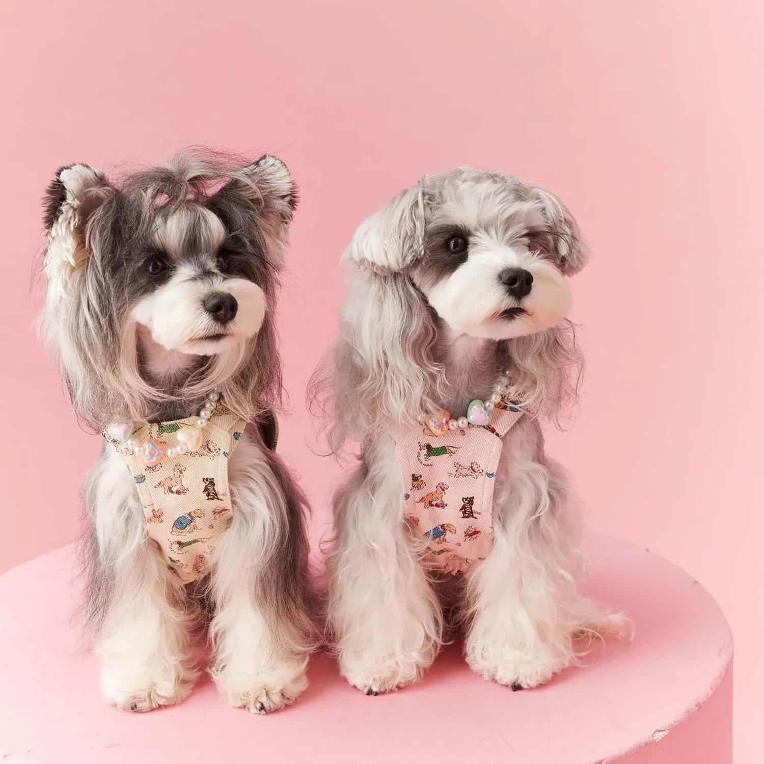 Beige dress with cartoon pet print and built-in harness