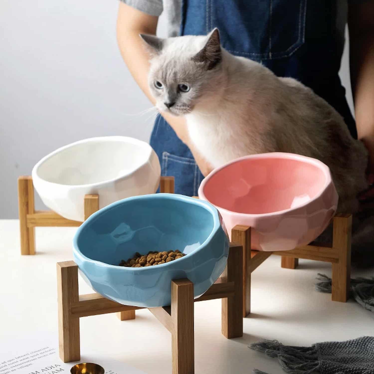 Tilted ceramic cat bowl with wooden stand at 15 degree angle