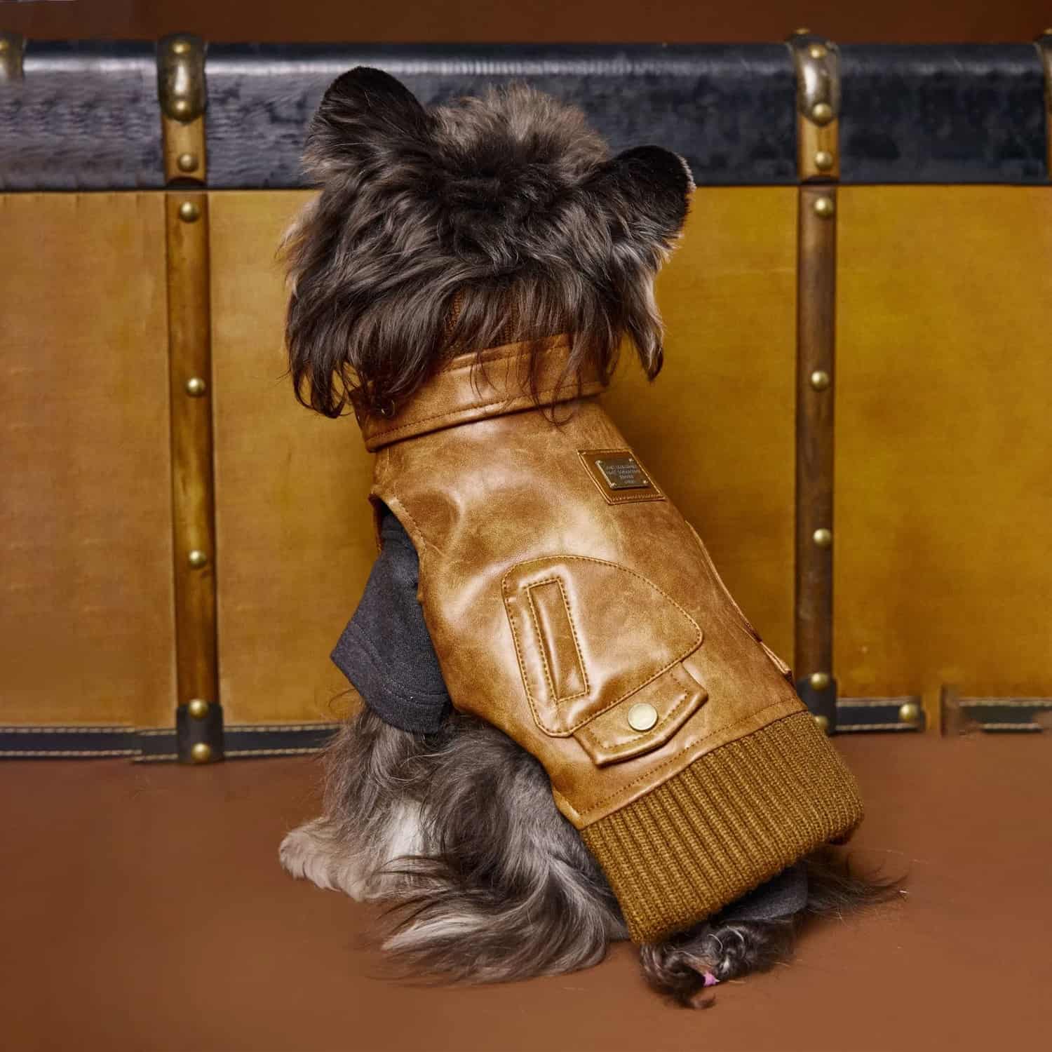 Brown leather waistcoat vest with ribbed trim for small dogs