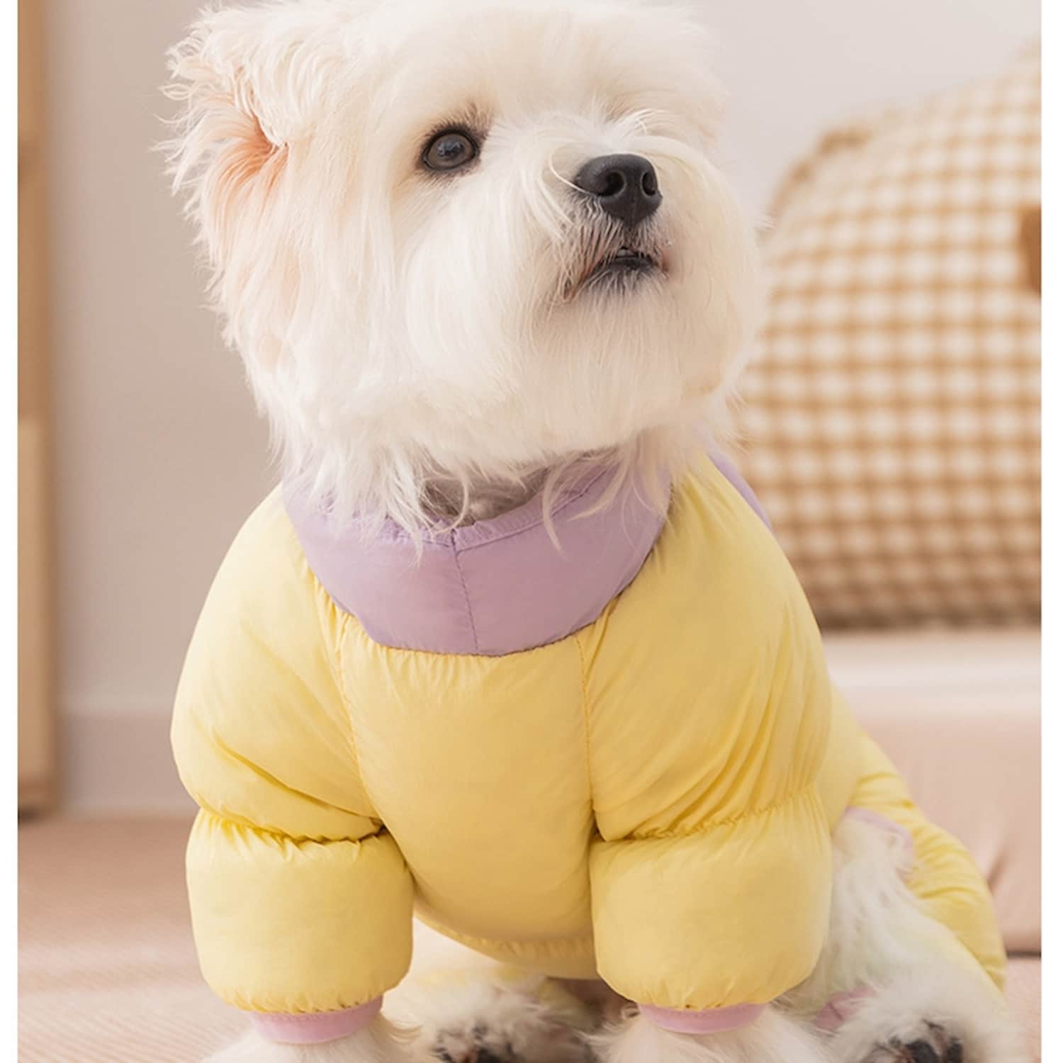 Color-blocked puffer snowsuit for small dogs and cats
