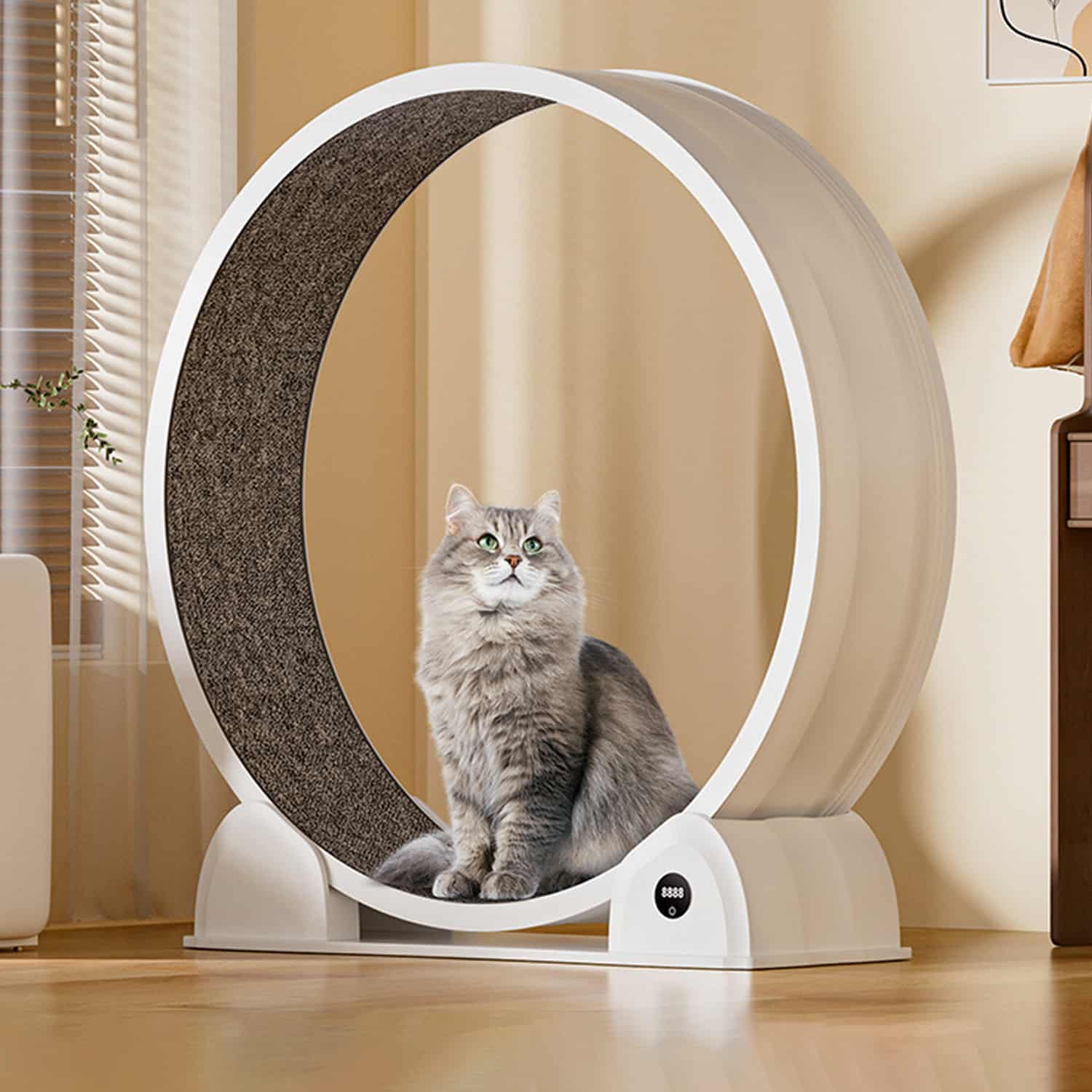 43-inch large cat exercise wheel with ABS outer frame, textured carpet running surface, digital lap and rotation counter display on base, silent operation, for indoor cats
