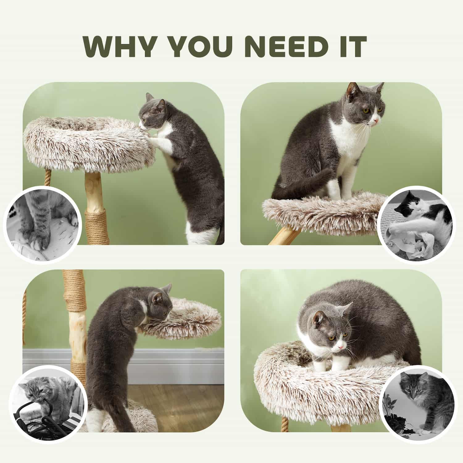 35-inch natural pear wood cat tree with jute-wrapped branching post, two plush perch beds at different heights, hanging rope toy, and 19.7-inch round base